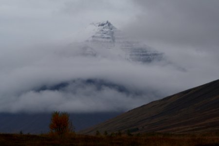 Dalvik, Icel, In dalvik photo