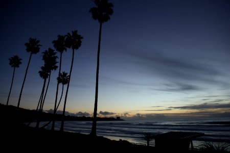 La jolla, San diego, United states photo