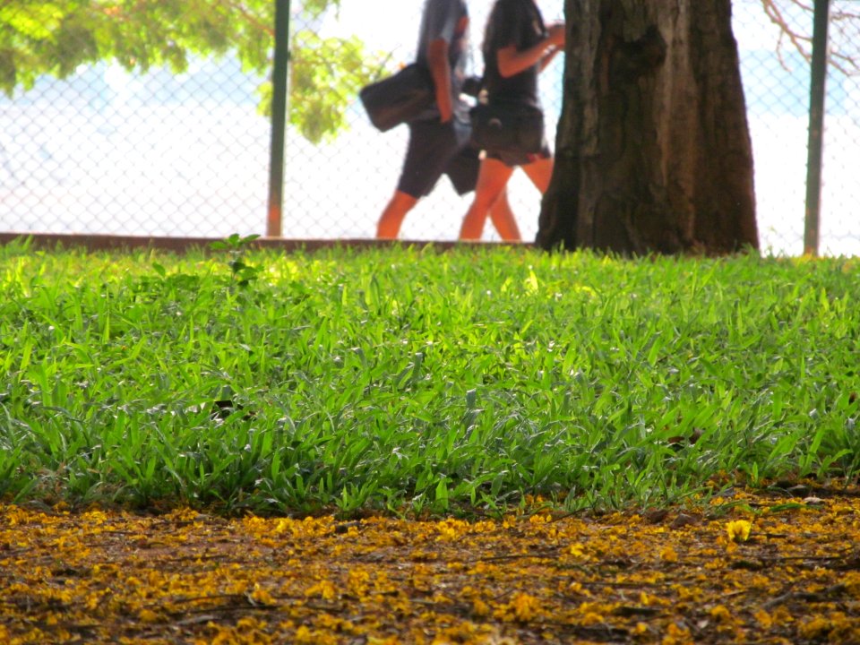 Lalbagh botanical garden, Bengaluru, India