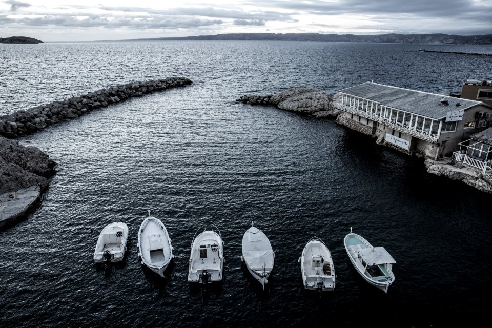 six white bots on body of water