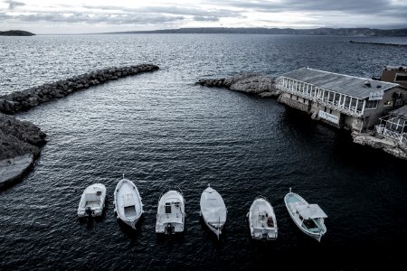 six white bots on body of water