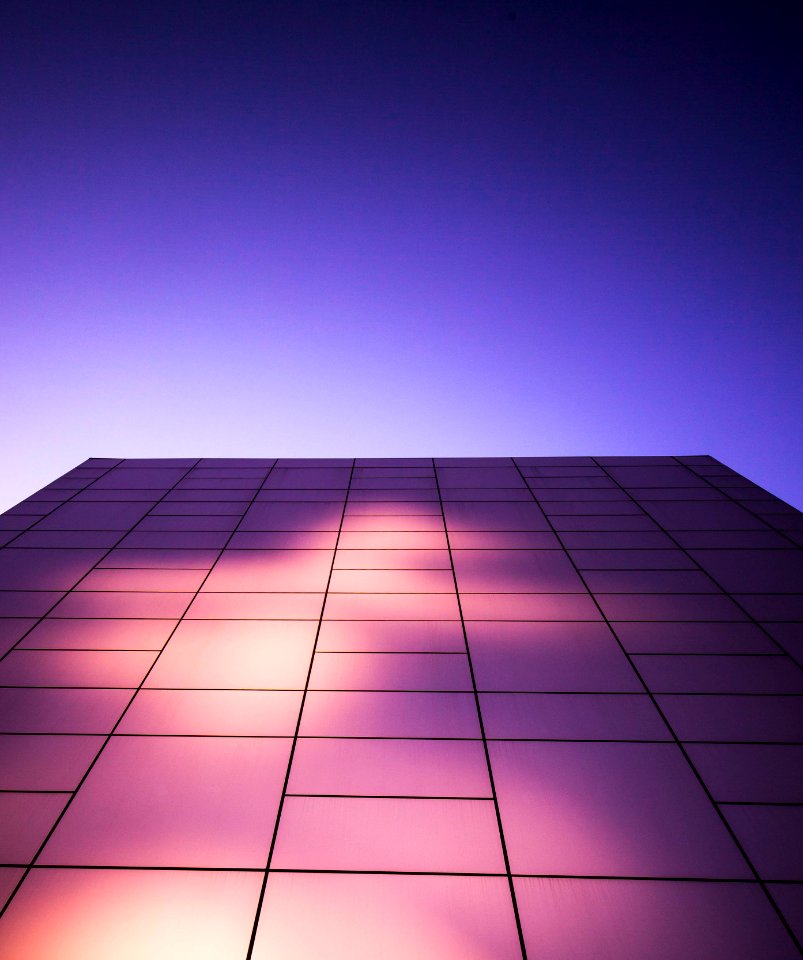 New york, United states, Pink