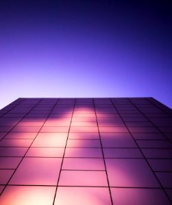 New york, United states, Pink