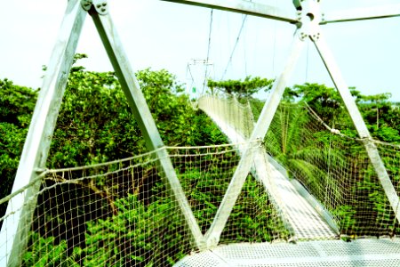 Lekki conservation centre, Lagos, Nigeria