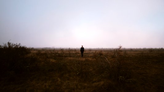 New zeal, Field, Fog