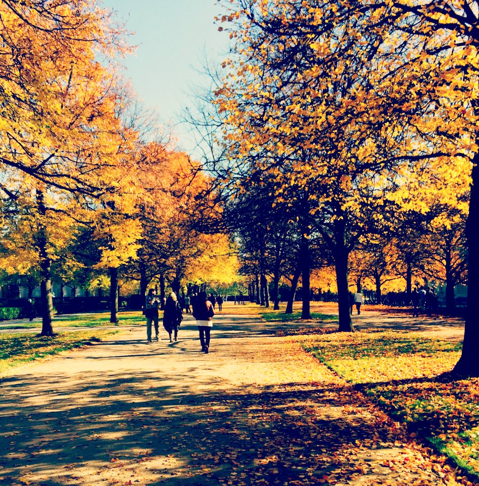 Munich, Germany, Park
