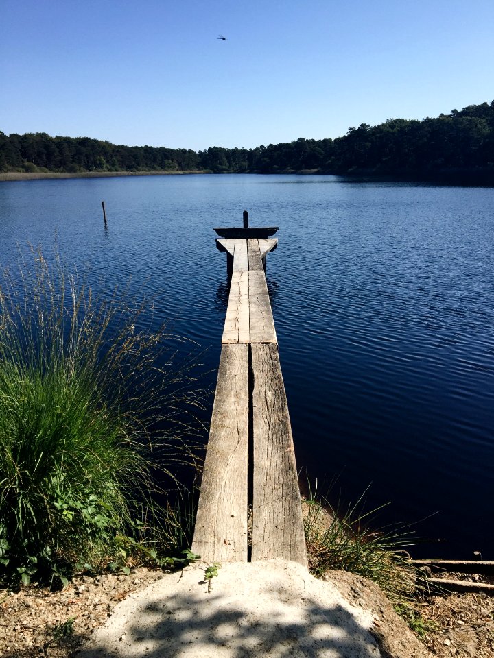 Neuvy, France, Wood