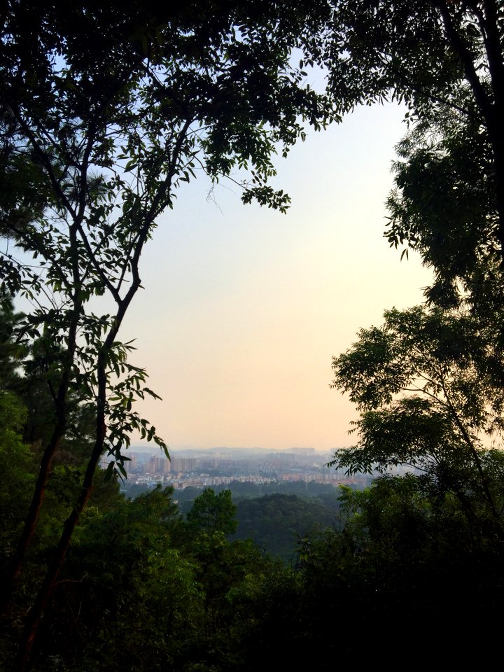 Qi feng gong yuan, Dongguan shi, China photo