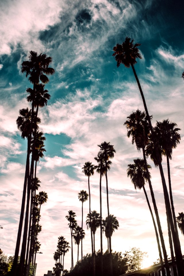 Los angeles, United states, Sunset