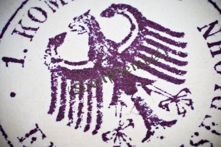 History historically imperial eagle
