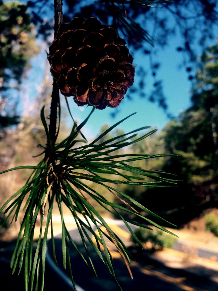 Tallulah gorge state park, Tallulah falls, United states