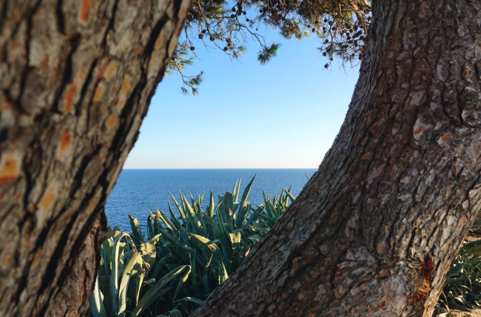 Ocean, Mediterranean, Seascape
