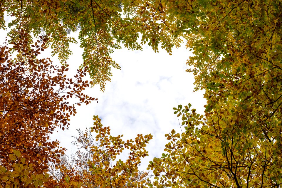 Potsdam, Germany, Negative space