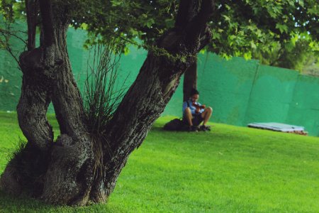Read, College, Relaxed
