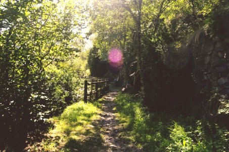 La massana, Orra, Relax