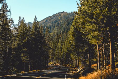 Lake tahoe, United states, Mountain photo