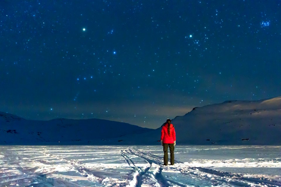 Wilderness, Winter, Stargazing
