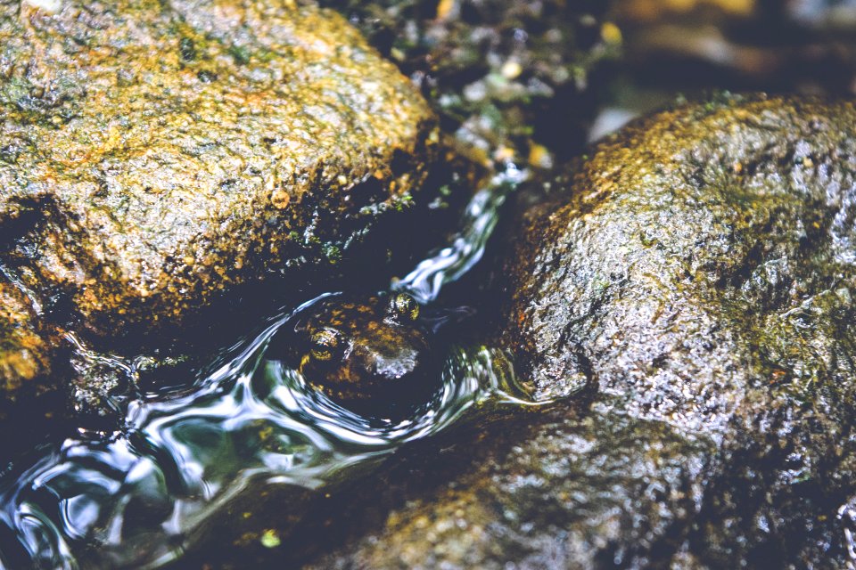 Rocks, Nature, Salam