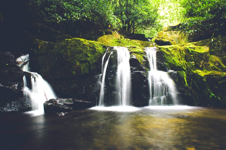 Middle prong trail, Gatlinburg, United states