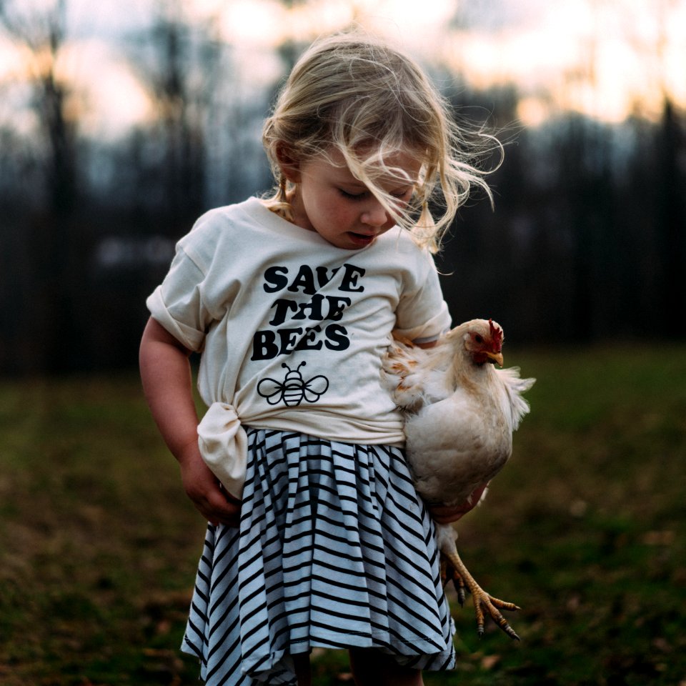 Leipers fork, United states, Golden hour