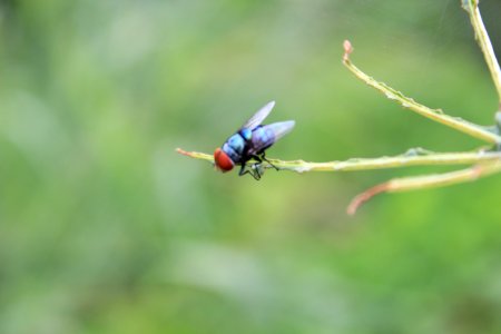 Coimbatore, India