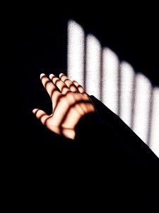 Photography, Sunlight, Light