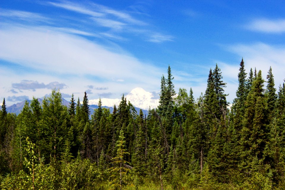 Alaska, Mt mckinley, United states