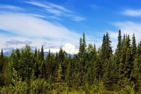 Alaska, Mt mckinley, United states
