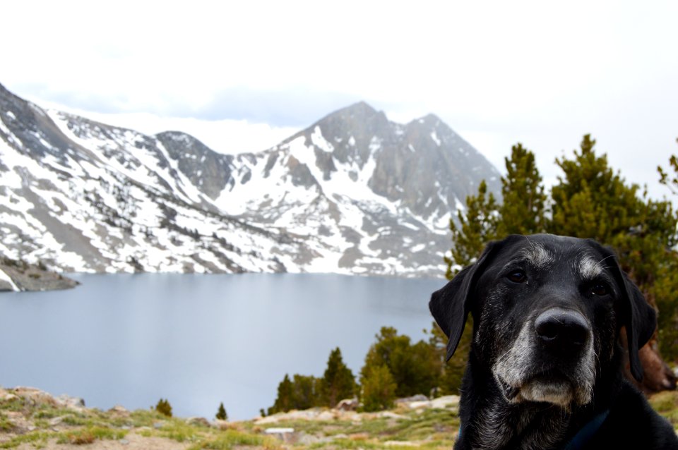 Duck lake, Mammoth lakes, United states