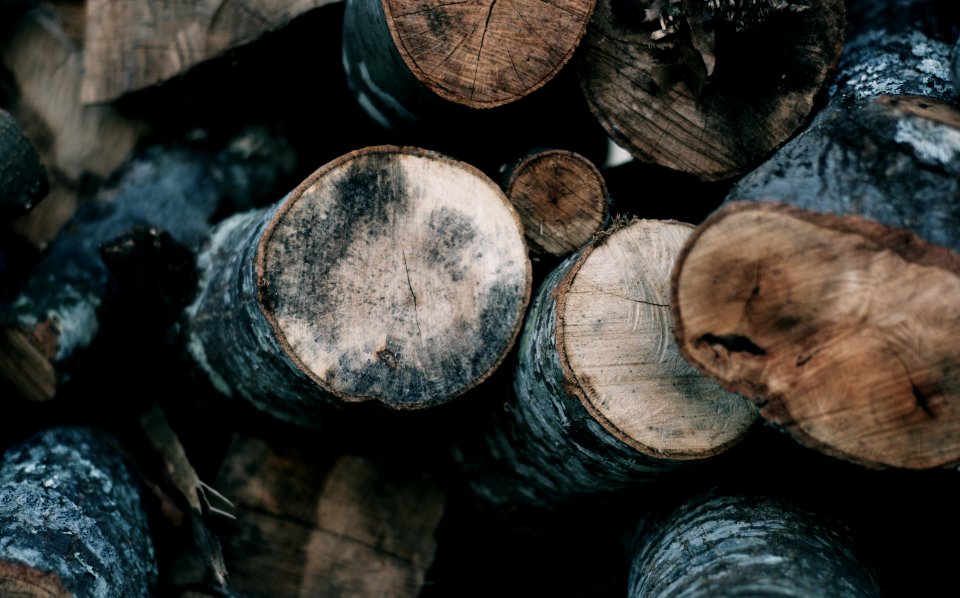 Nature, Wood log, Log