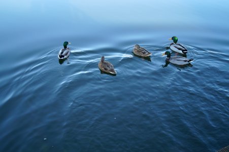 Lancashire, United kingdom, Fresh