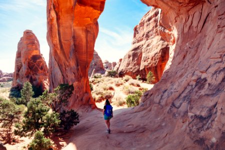 Summer, Arches national park, United states photo