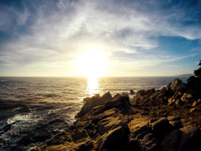 Point lobos state natural reserve, Carmel