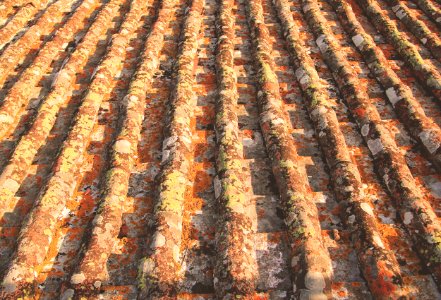 Rooftop, Texture, Ceramic photo