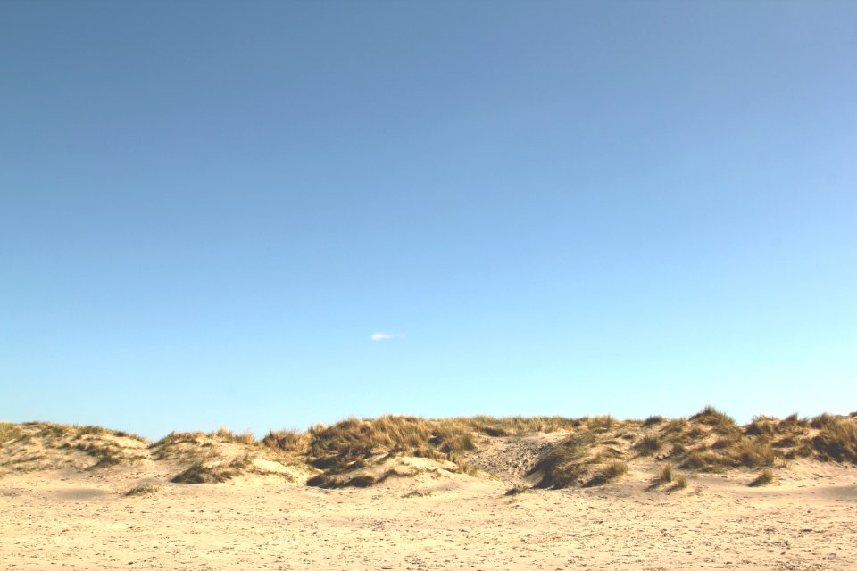 West wittering, United kingdom, Sun