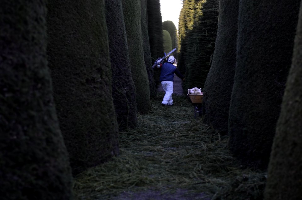 Punta arenas, Chile, Garden