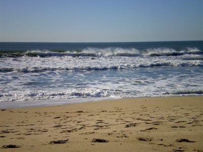 Seal beach, United states, Ocean