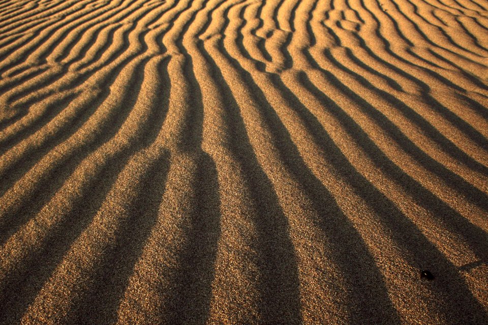 photo of desert dunes