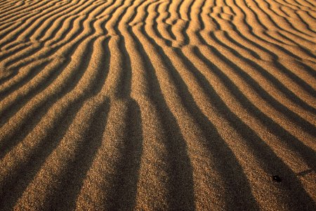 photo of desert dunes photo