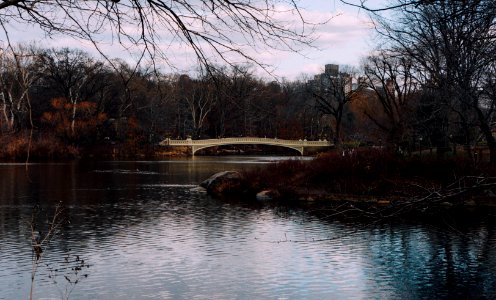 Central park, New york, United states photo