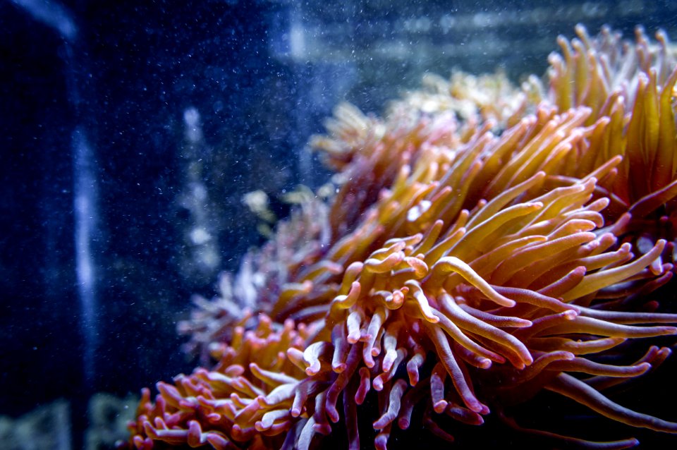 Medelln, Colombia, Aquarium