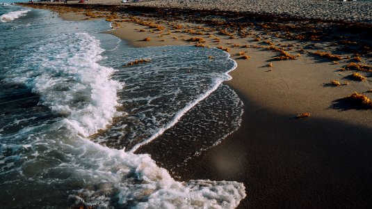 Miami, Estados unidos, Tides