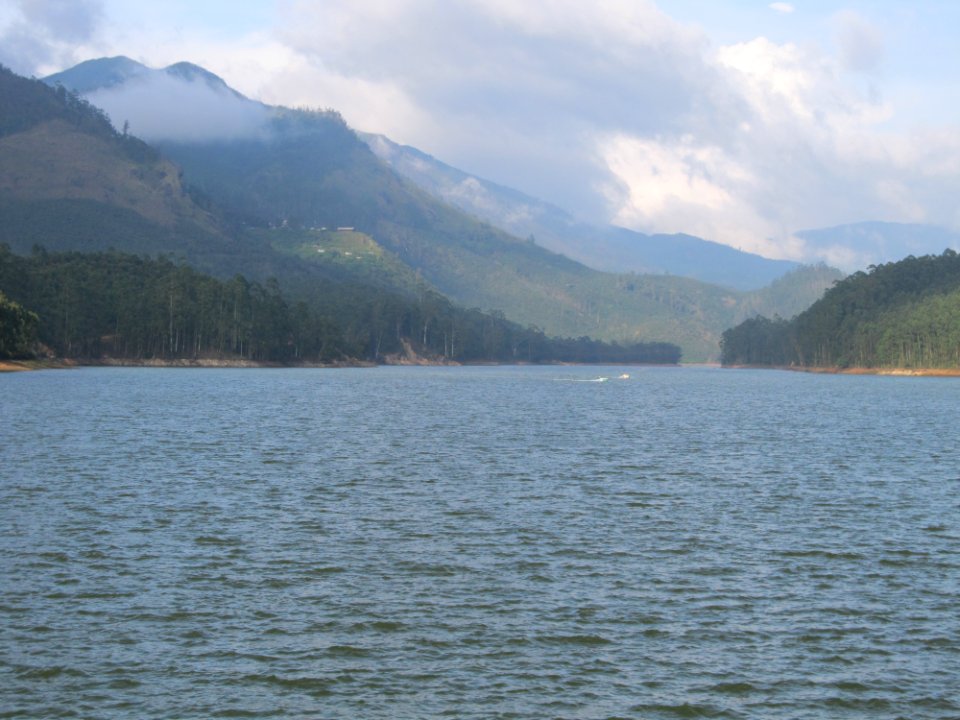India, Kerala, Munnar