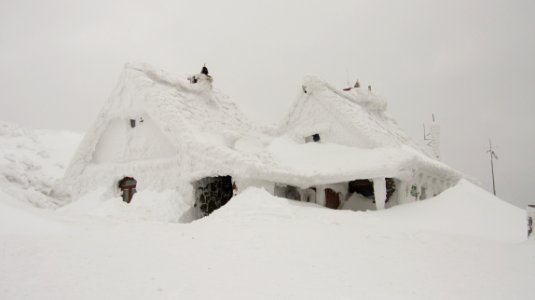 house covered in snow photo