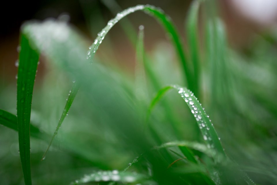 Howell, United states, Macro