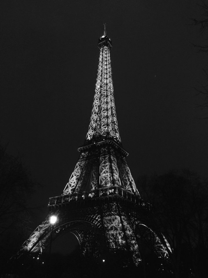 Paris, Faubourg saintgermain, Ledefrance