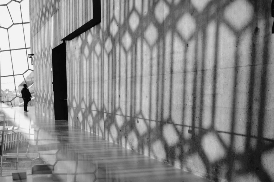 Icel, Harpa concert hall, Conference centre