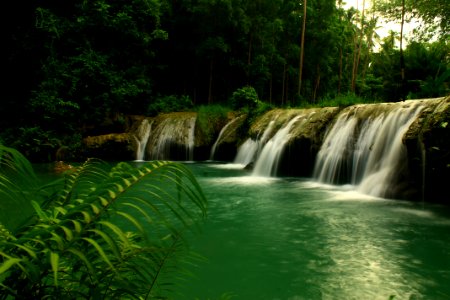 Lazi, Philippines, Forest photo