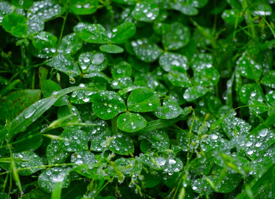 Drop drop of water shining