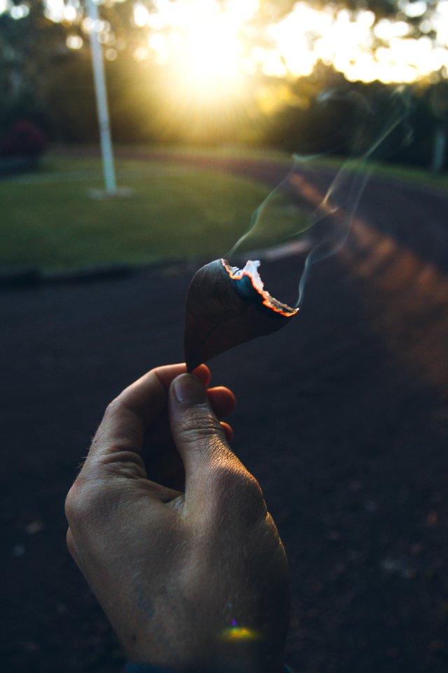 Love, Light, Burn